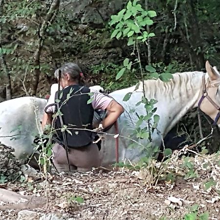 Ostello La Miniera Massa Marittima Dış mekan fotoğraf